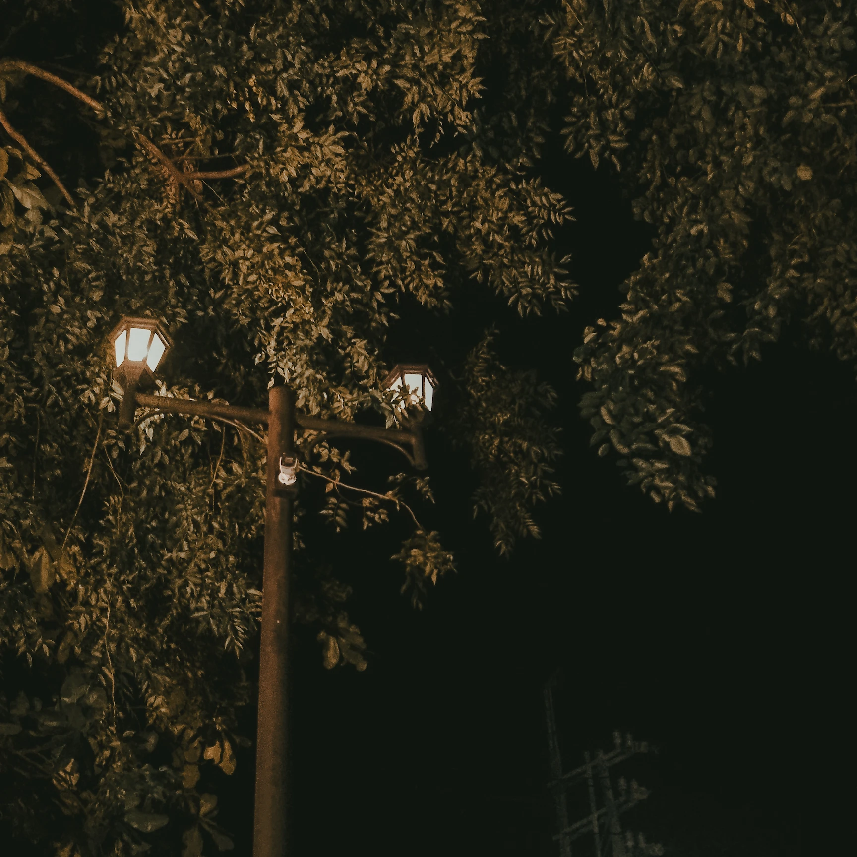 Photography - Lamp